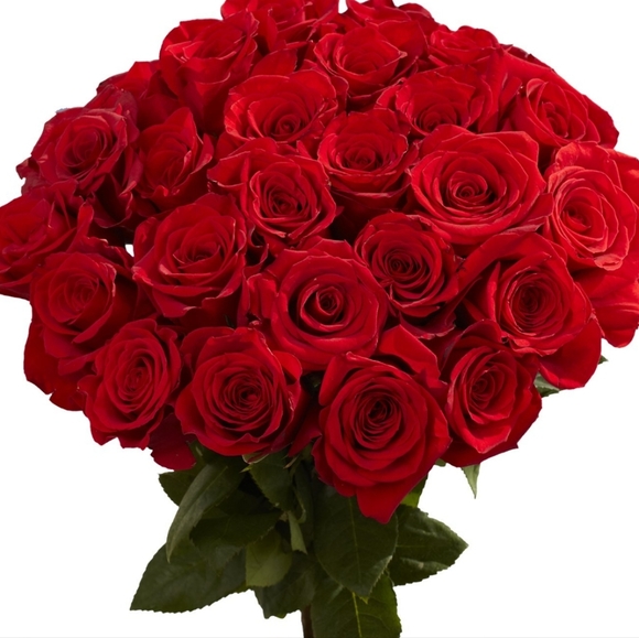 Meet your Posher, Liz - Picture 1 of 1